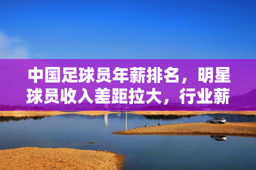 中国足球员年薪排名，明星球员收入差距拉大，行业薪资结构待优化，中国足球员年薪排名，明星球员收入差距拉大，行业薪资结构待优化