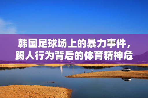 韩国足球场上的暴力事件，踢人行为背后的体育精神危机与反思，韩国足球场暴力事件，踢人行为背后的体育精神危机与反思