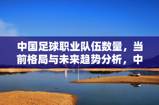 中国足球职业队伍数量，当前格局与未来趋势分析，中国足球职业队伍数量，当前格局与未来趋势分析