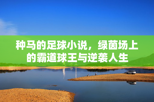种马的足球小说，绿茵场上的霸道球王与逆袭人生