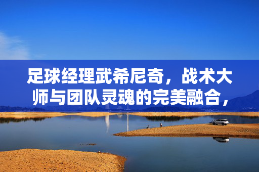 足球经理武希尼奇，战术大师与团队灵魂的完美融合，足球经理武希尼奇，战术大师与团队灵魂的完美融合