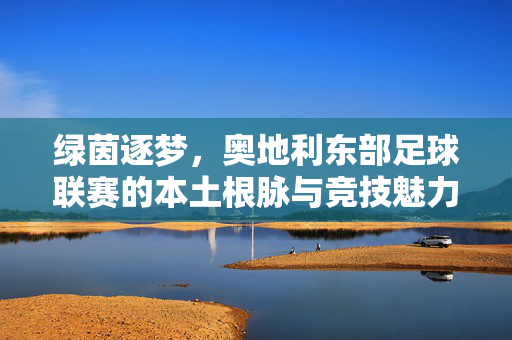 绿茵逐梦，奥地利东部足球联赛的本土根脉与竞技魅力，绿茵逐梦，奥地利东部足球联赛的本土根脉与竞技魅力