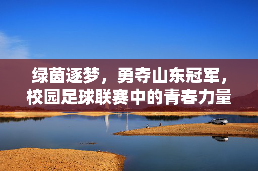 绿茵逐梦,勇夺山东冠军,校园足球联赛中的青春力量与拼搏精神,绿茵逐梦,勇夺山东冠军,校园足球联赛中的青春力量与拼搏精神