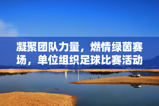 凝聚团队力量，燃情绿茵赛场，单位组织足球比赛活动综述，凝聚团队力量，燃情绿茵赛场，单位足球比赛活动综述