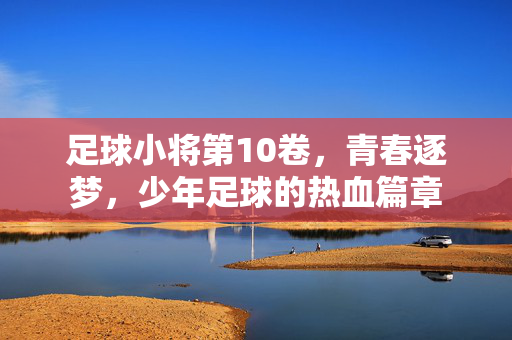 足球小将第10卷，青春逐梦，少年足球的热血篇章