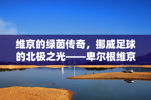 维京的绿茵传奇，挪威足球的北极之光——卑尔根维京足球俱乐部的历史与荣耀