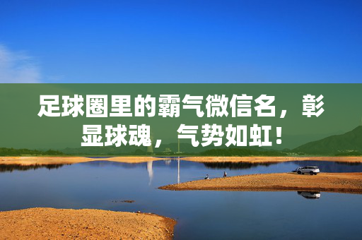 足球圈里的霸气微信名，彰显球魂，气势如虹！