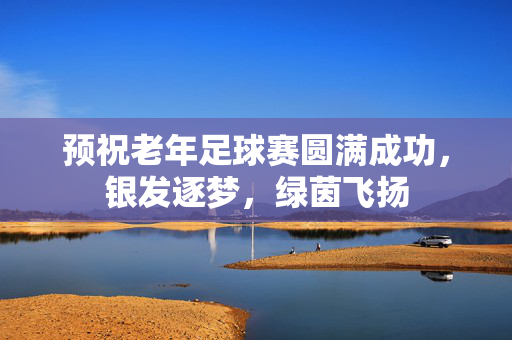 预祝老年足球赛圆满成功，银发逐梦，绿茵飞扬