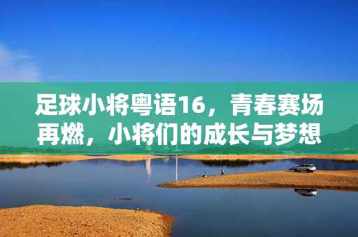 足球小将粤语16，青春赛场再燃，小将们的成长与梦想征途