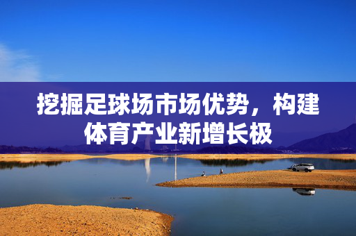 挖掘足球场市场优势，构建体育产业新增长极