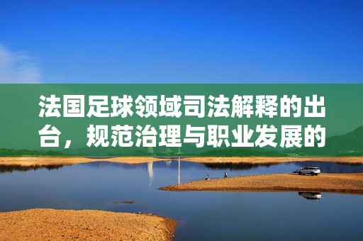法国足球领域司法解释的出台，规范治理与职业发展的新篇章，法国足球领域司法解释出台，开启规范治理与职业发展新篇章
