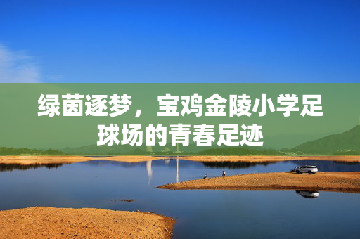 绿茵逐梦，宝鸡金陵小学足球场的青春足迹