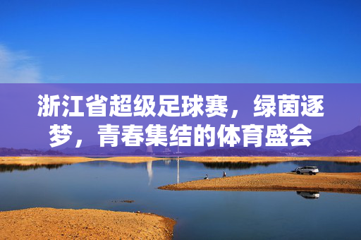 浙江省超级足球赛，绿茵逐梦，青春集结的体育盛会