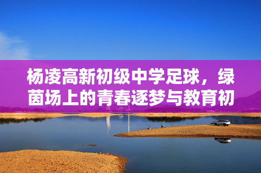 杨凌高新初级中学足球，绿茵场上的青春逐梦与教育初心