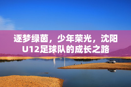 逐梦绿茵，少年荣光，沈阳U12足球队的成长之路