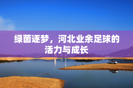 绿茵逐梦，河北业余足球的活力与成长