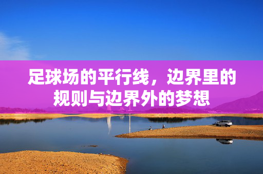 足球场的平行线，边界里的规则与边界外的梦想