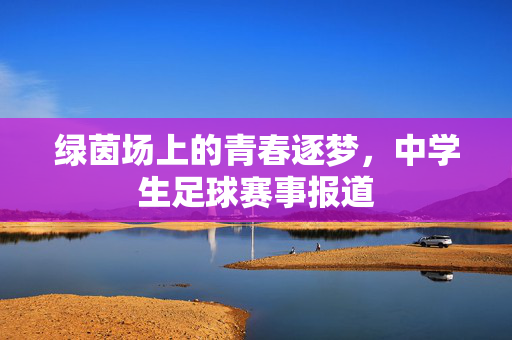 绿茵场上的青春逐梦，中学生足球赛事报道