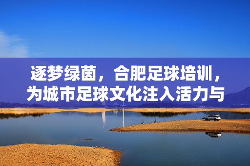 逐梦绿茵，合肥足球培训，为城市足球文化注入活力与希望
