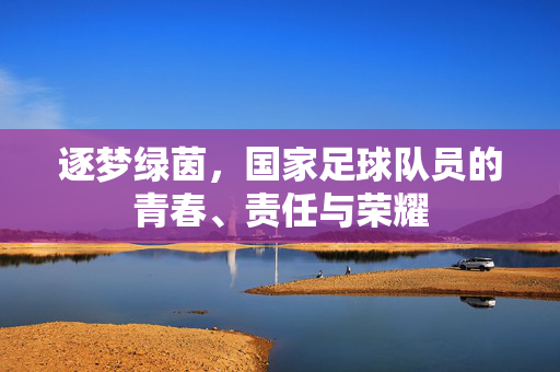 逐梦绿茵，国家足球队员的青春、责任与荣耀
