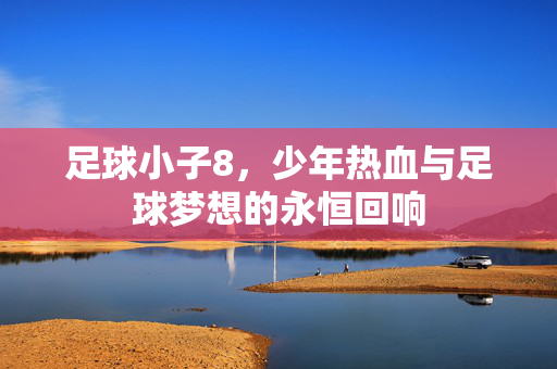 足球小子8,少年热血与足球梦想的永恒回响