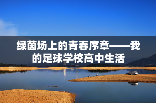 绿茵场上的青春序章——我的足球学校高中生活