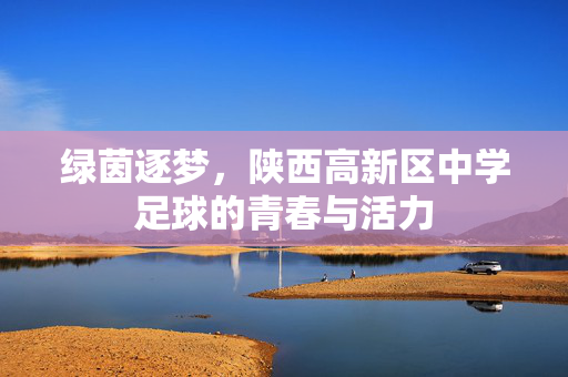 绿茵逐梦，陕西高新区中学足球的青春与活力