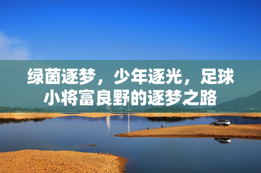 足球竞猜会输吗？理性看待风险，提升胜率的关键策略