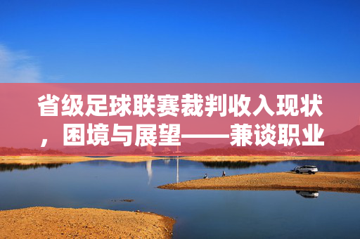 省级足球联赛裁判收入现状，困境与展望——兼谈职业化进程中裁判保障的必要性