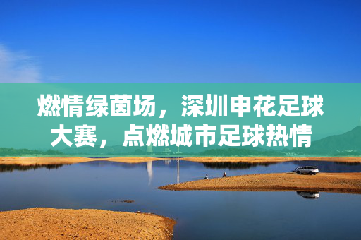 燃情绿茵场，深圳申花足球大赛，点燃城市足球热情