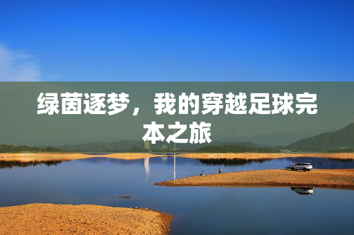 绿茵逐梦，我的穿越足球完本之旅