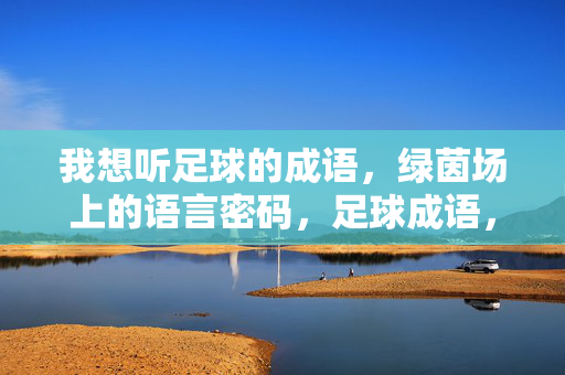 我想听足球的成语，绿茵场上的语言密码，足球成语，绿茵场上的语言密码