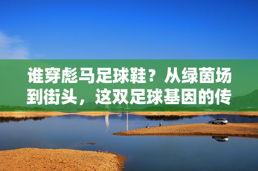 谁穿彪马足球鞋？从绿茵场到街头，这双足球基因的传承与潮流共鸣，谁穿彪马足球鞋？从绿茵场到街头，足球基因的传承与潮流共鸣
