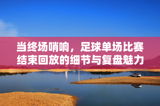当终场哨响，足球单场比赛结束回放的细节与复盘魅力，当终场哨响，足球单场比赛回放的细节与复盘魅力
