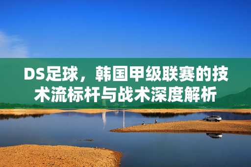 DS足球，韩国甲级联赛的技术流标杆与战术深度解析