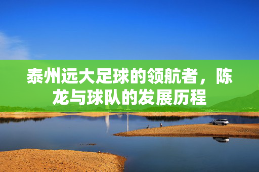 泰州远大足球的领航者，陈龙与球队的发展历程