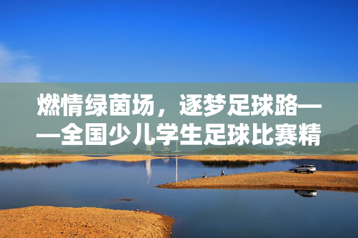 燃情绿茵场，逐梦足球路——全国少儿学生足球比赛精彩回顾与未来展望