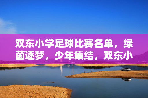 双东小学足球比赛名单，绿茵逐梦，少年集结，双东小学足球比赛名单，绿茵逐梦，少年集结