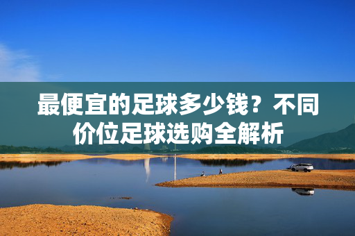 最便宜的足球多少钱？不同价位足球选购全解析