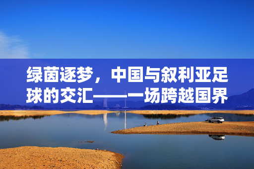 绿茵逐梦，中国与叙利亚足球的交汇——一场跨越国界的激情与友谊
