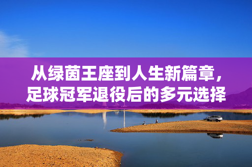 从绿茵王座到人生新篇章，足球冠军退役后的多元选择