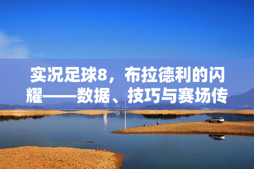 实况足球8，布拉德利的闪耀——数据、技巧与赛场传奇的数字复刻