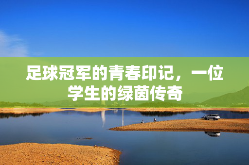 足球冠军的青春印记，一位学生的绿茵传奇