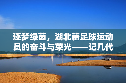逐梦绿茵，湖北籍足球运动员的奋斗与荣光——记几代湖北足球人的拼搏故事，逐梦绿茵，湖北籍足球运动员的奋斗与荣光——记几代湖北足球人的拼搏故事