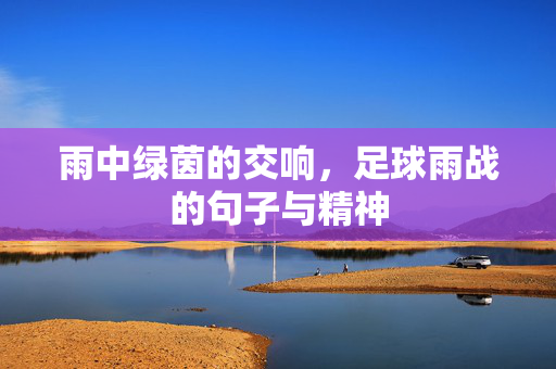 雨中绿茵的交响，足球雨战的句子与精神