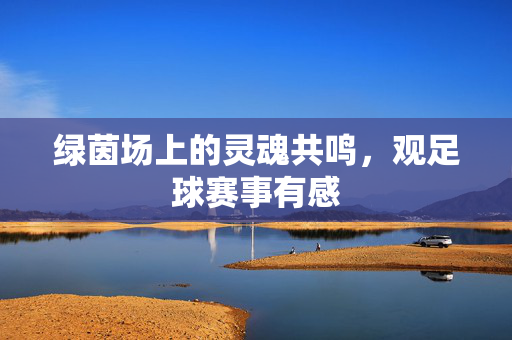 绿茵场上的灵魂共鸣，观足球赛事有感
