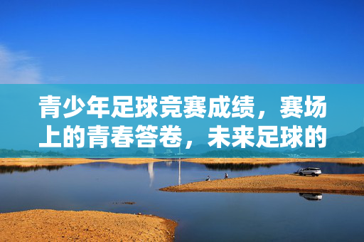 青少年足球竞赛成绩，赛场上的青春答卷，未来足球的潜力预演