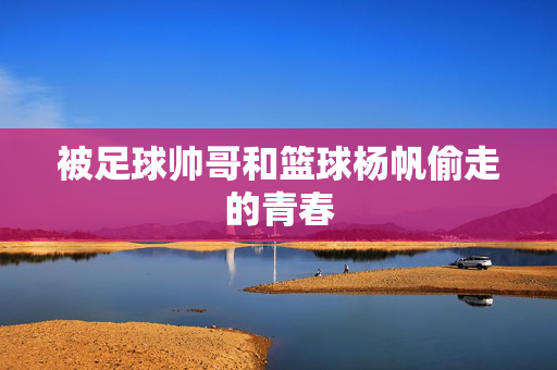 被足球帅哥和篮球杨帆偷走的青春