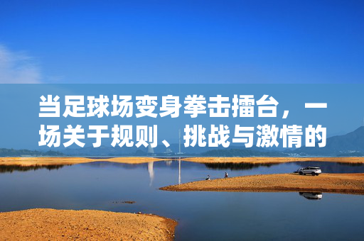 当足球场变身拳击擂台，一场关于规则、挑战与激情的碰撞，足球场变拳击擂台，规则、挑战与激情的碰撞