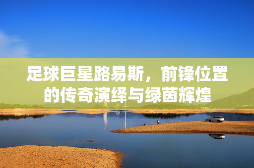足球巨星路易斯，前锋位置的传奇演绎与绿茵辉煌